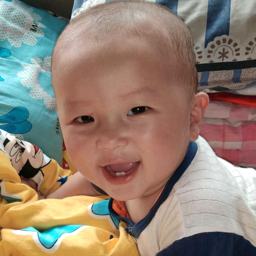 生鲜牛肉批发零售