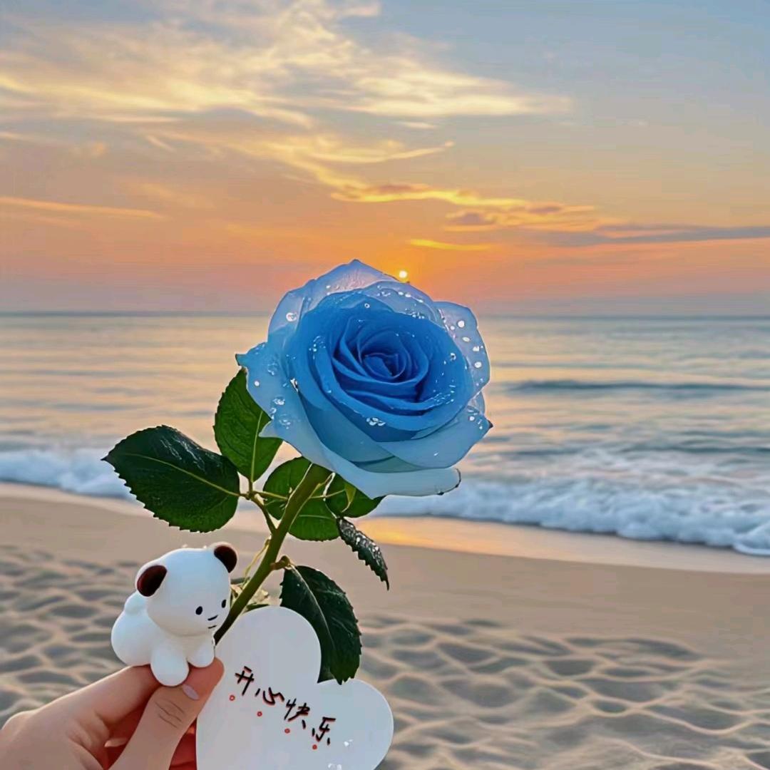 一个人的流浪生活🍃