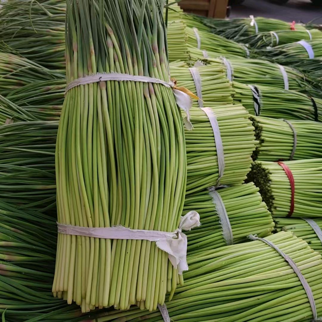 开封小丽蔬菜代办（全国发货）