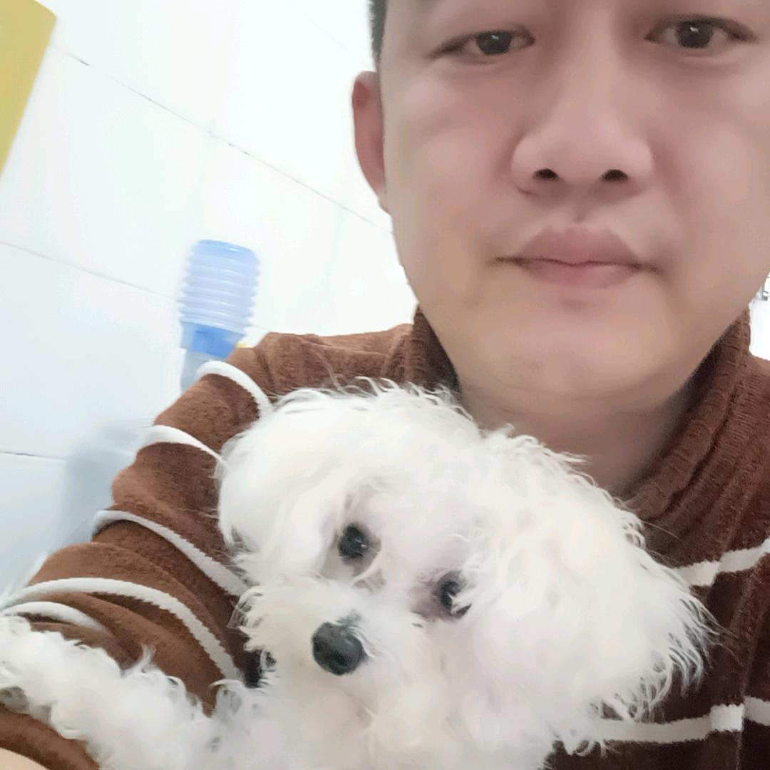 谁许我半世柔情