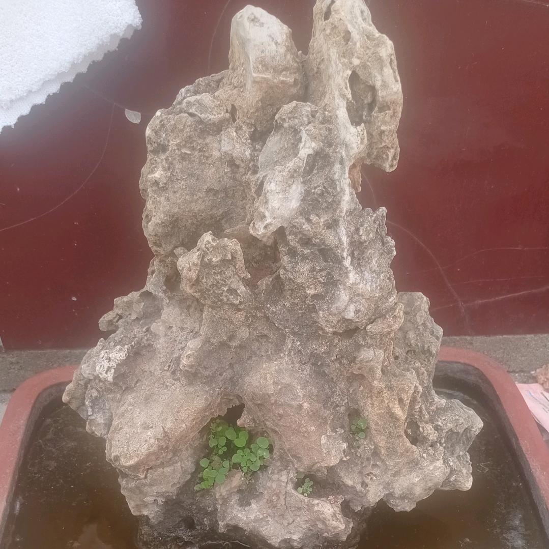 一笑而过头像