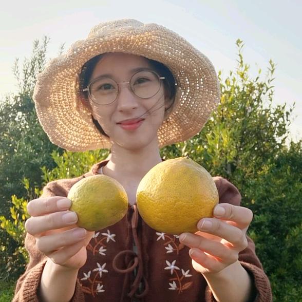 新会陈皮妹