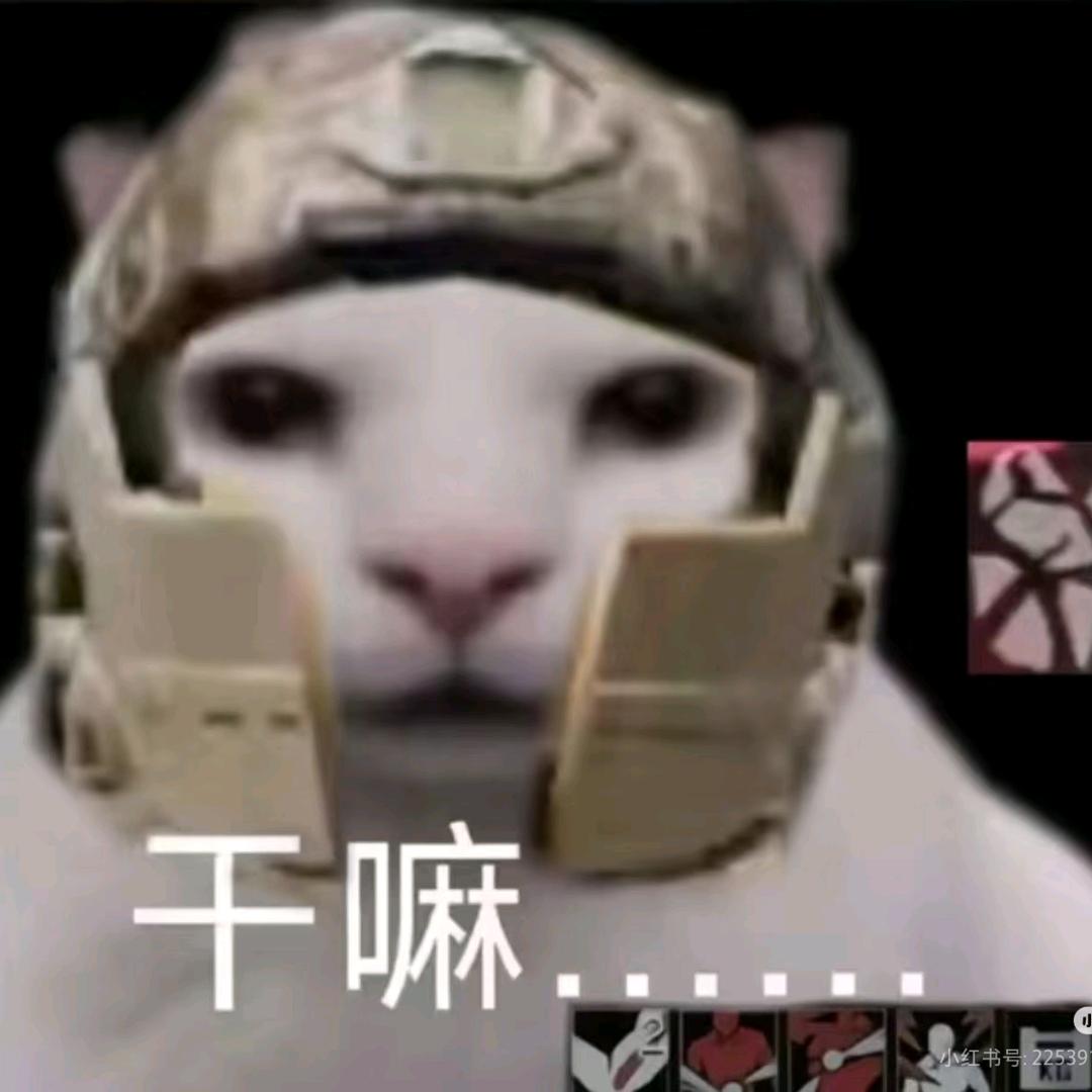 微风的虫