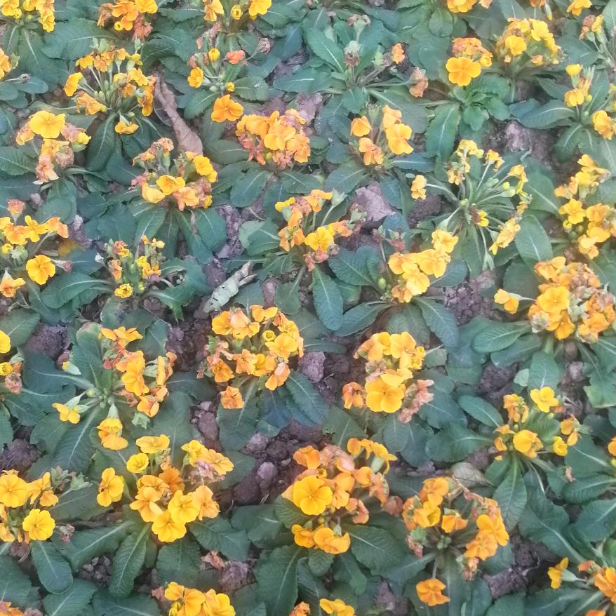阳阳阳