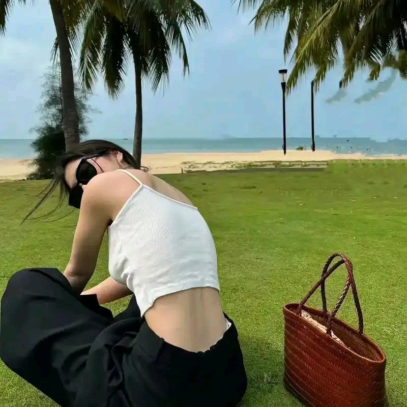 光伏阳光房集 中式光伏（光伏界的大冤总)