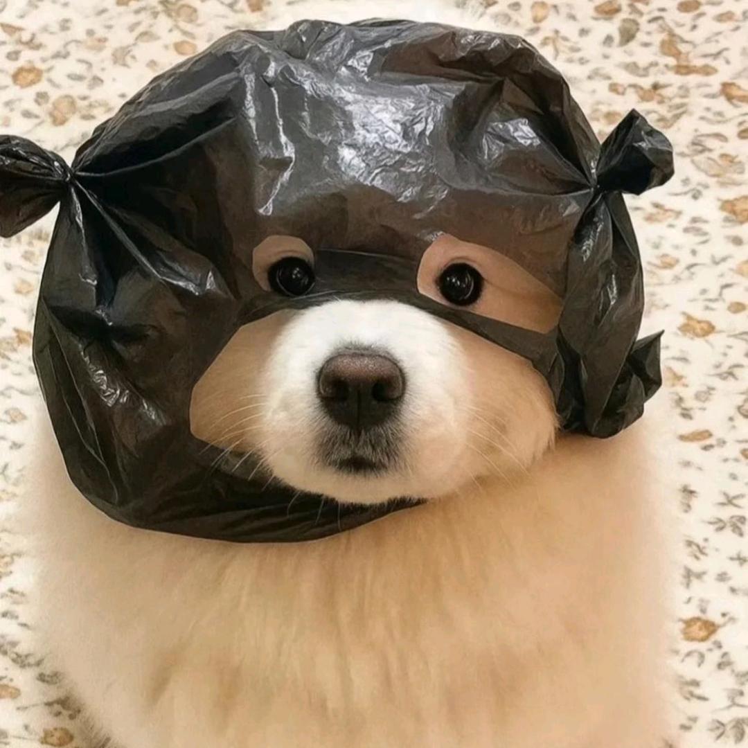 一个辣的不辣