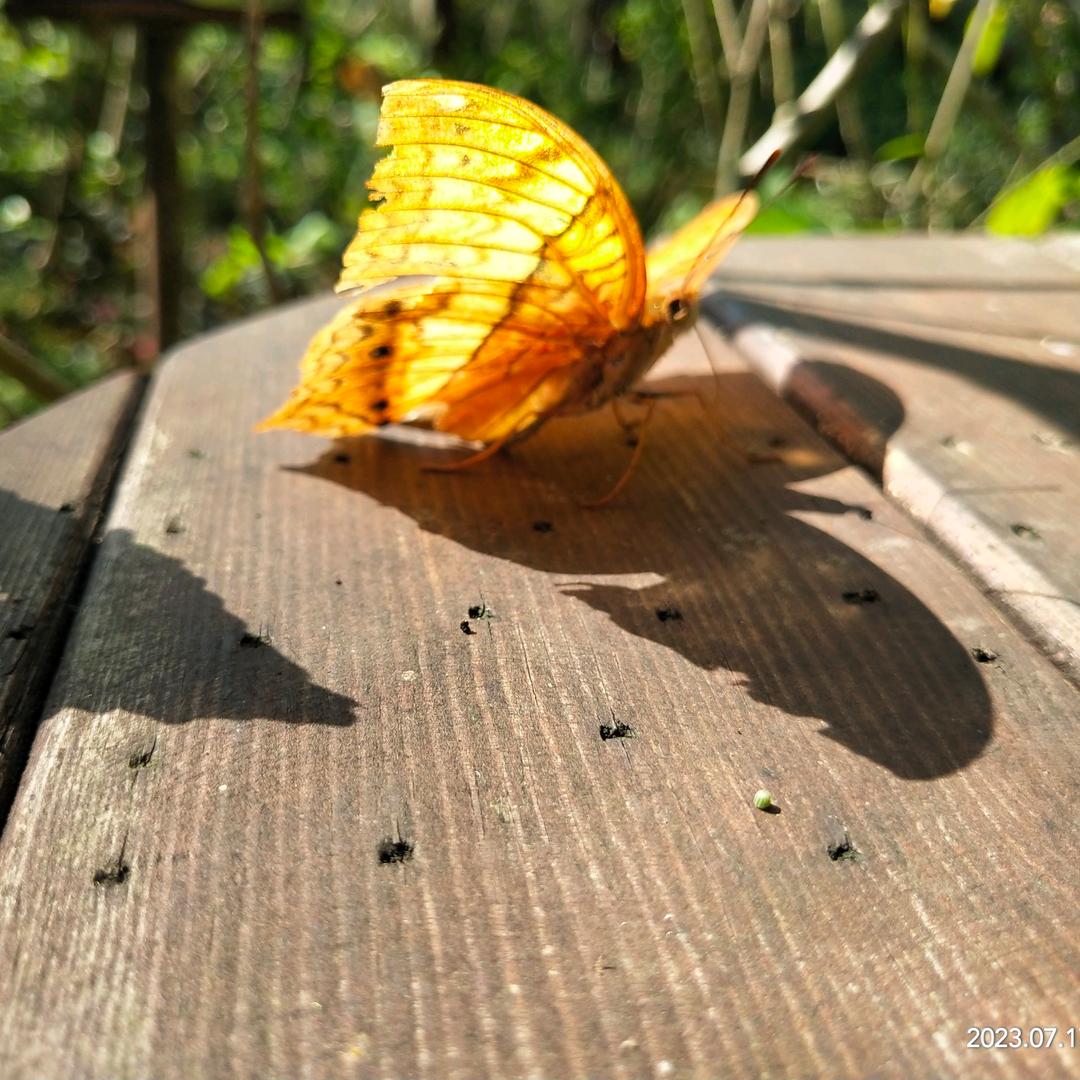 红火百货小超市