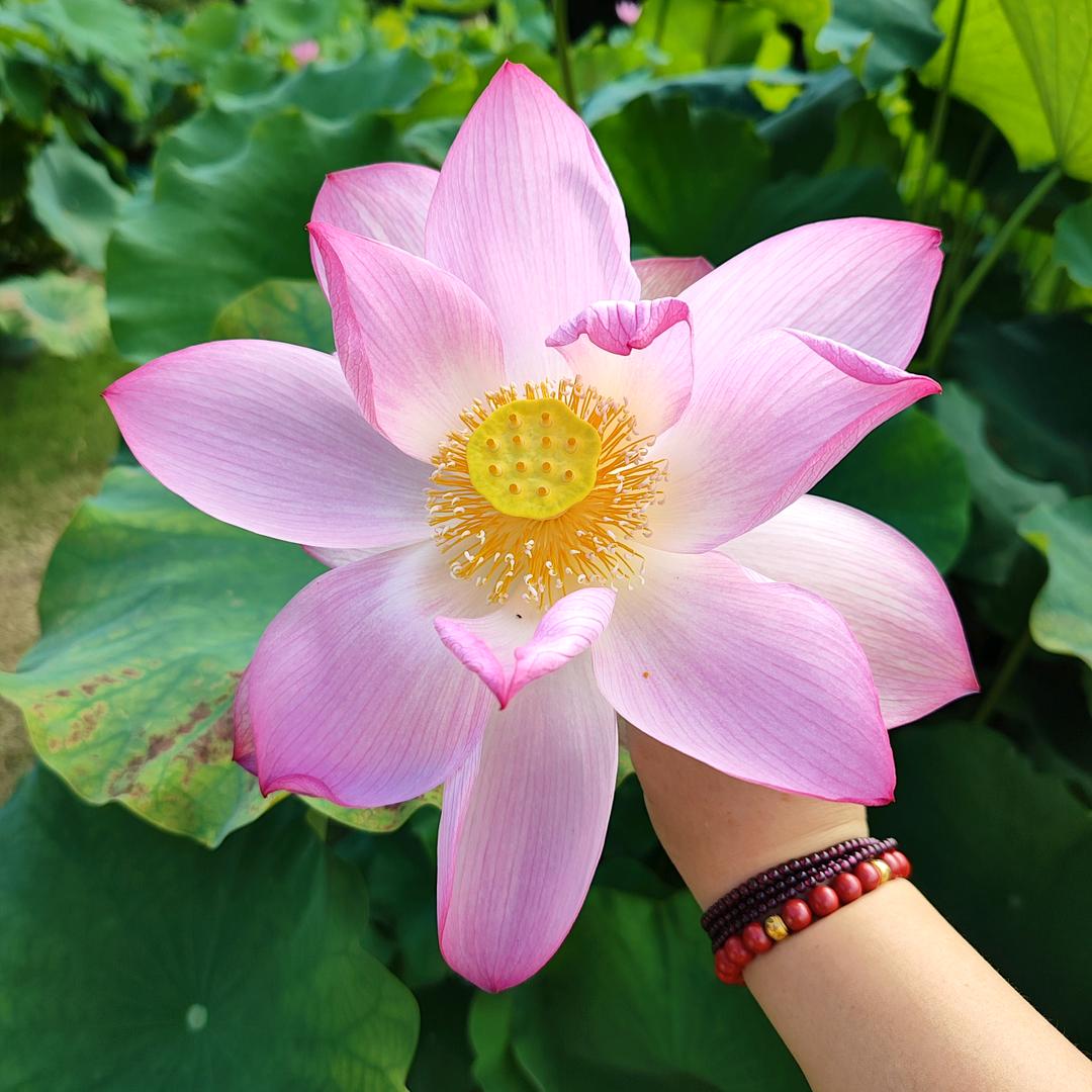 桂林童鞋