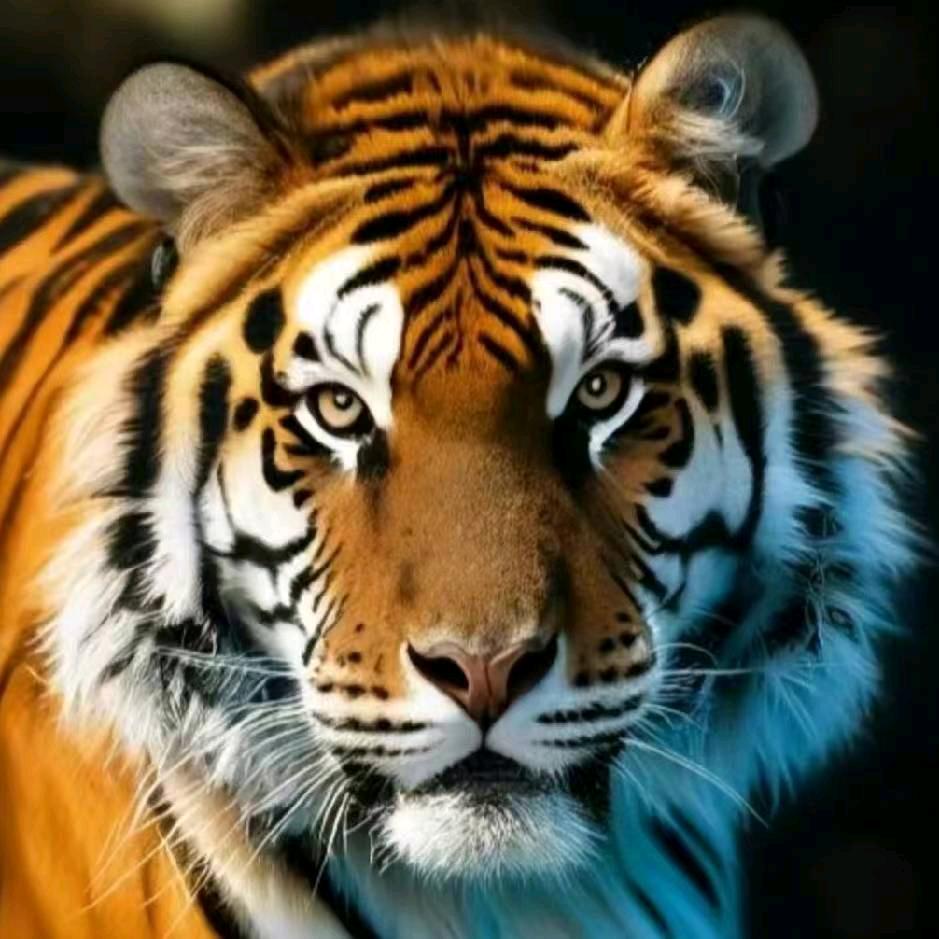 海浪【卢】-柳工沃尔沃挖机租售