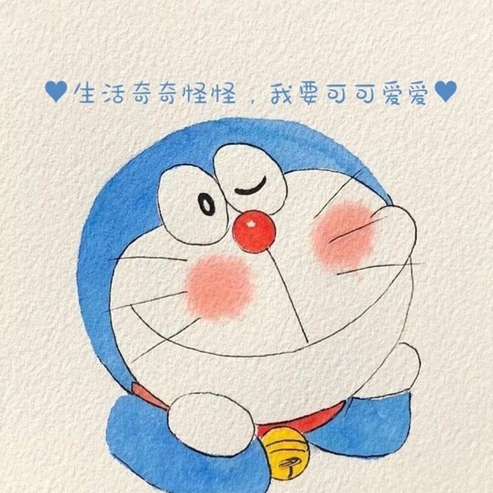 开心小灰灰