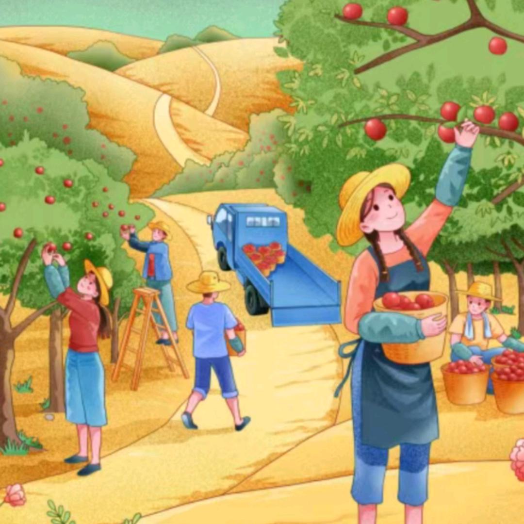 农田有梦🍎-三喜