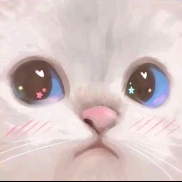 是豆豆啊