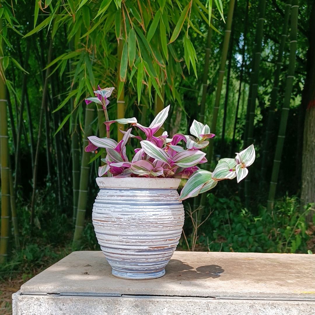 西安职高推荐介绍排行