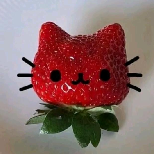 夏阳