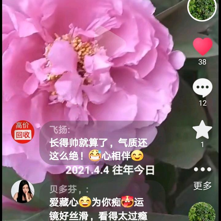 富在深山有人知