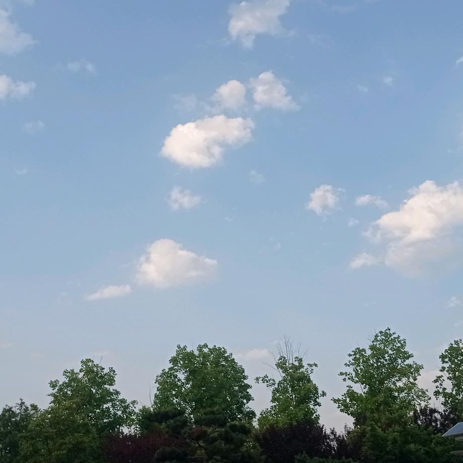 木兰