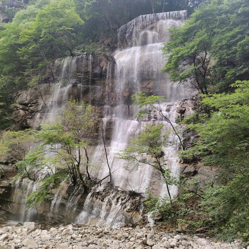 飘逸₍˄·͈༝·͈˄*₎◞ ̑̑
