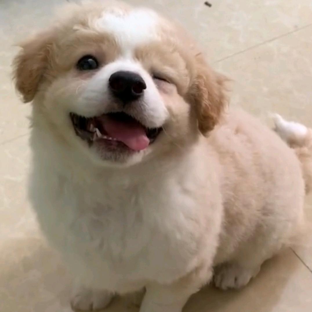 👧🏻