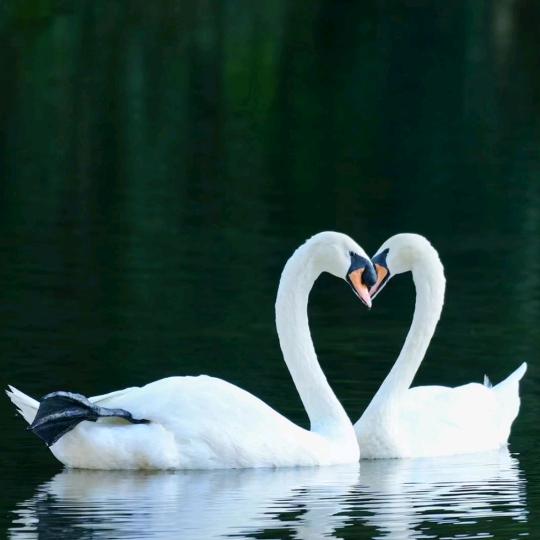 美好生活美好生