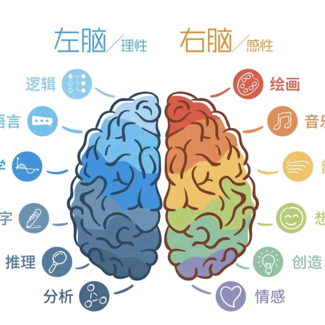 右脑潜能开发，快速记忆