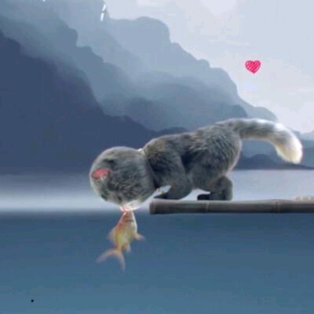 猫小鱼🐟