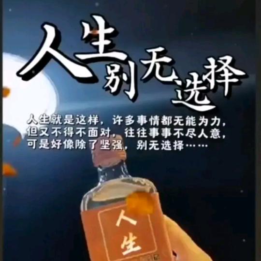 慧晴磊