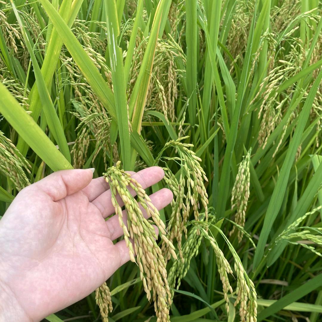 纤纤小手，悠悠我心！