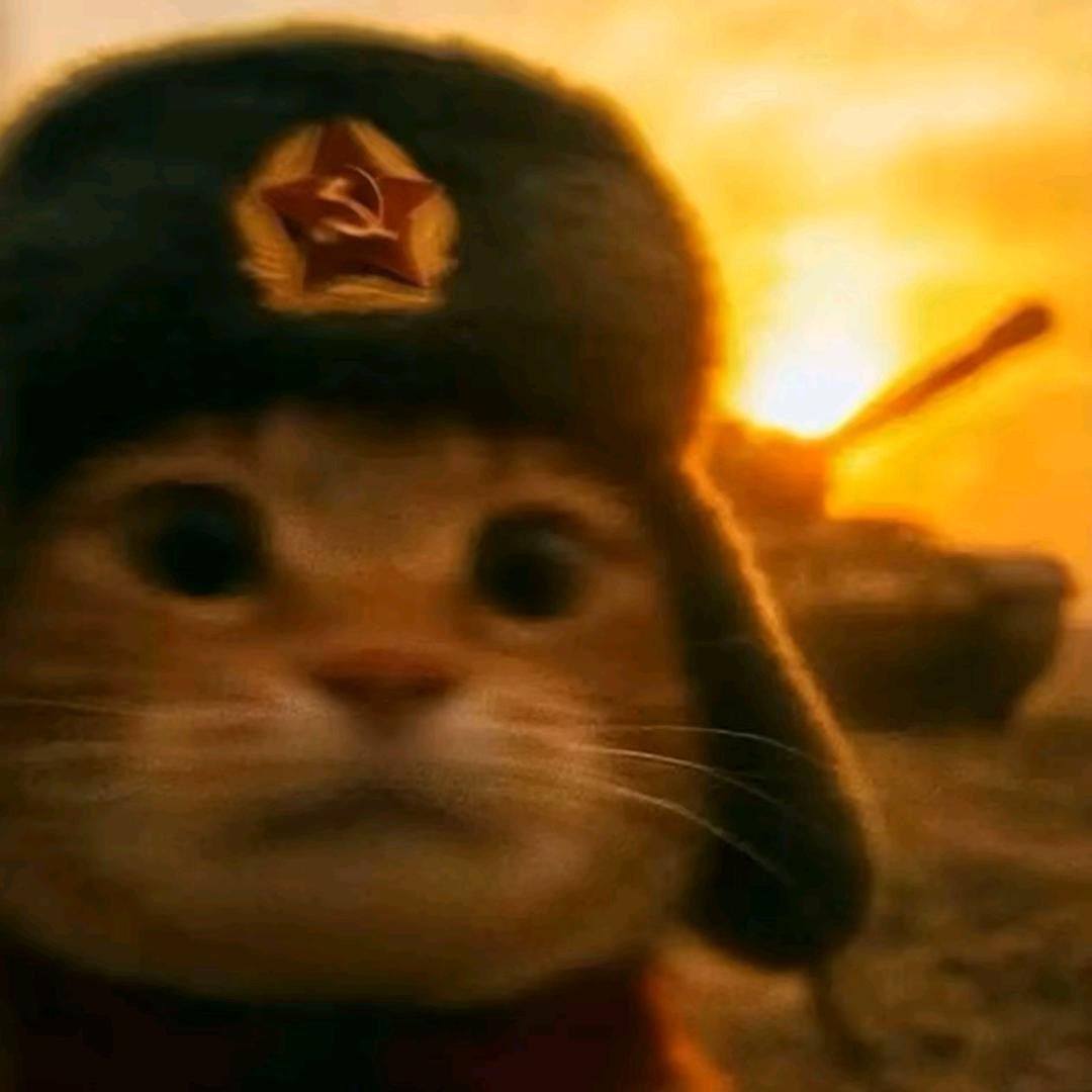 应景