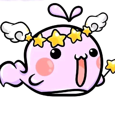 四川专升本-鲸妙妙