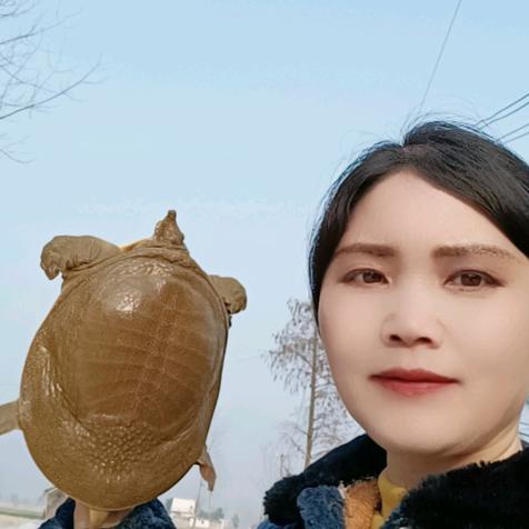 修虹水产