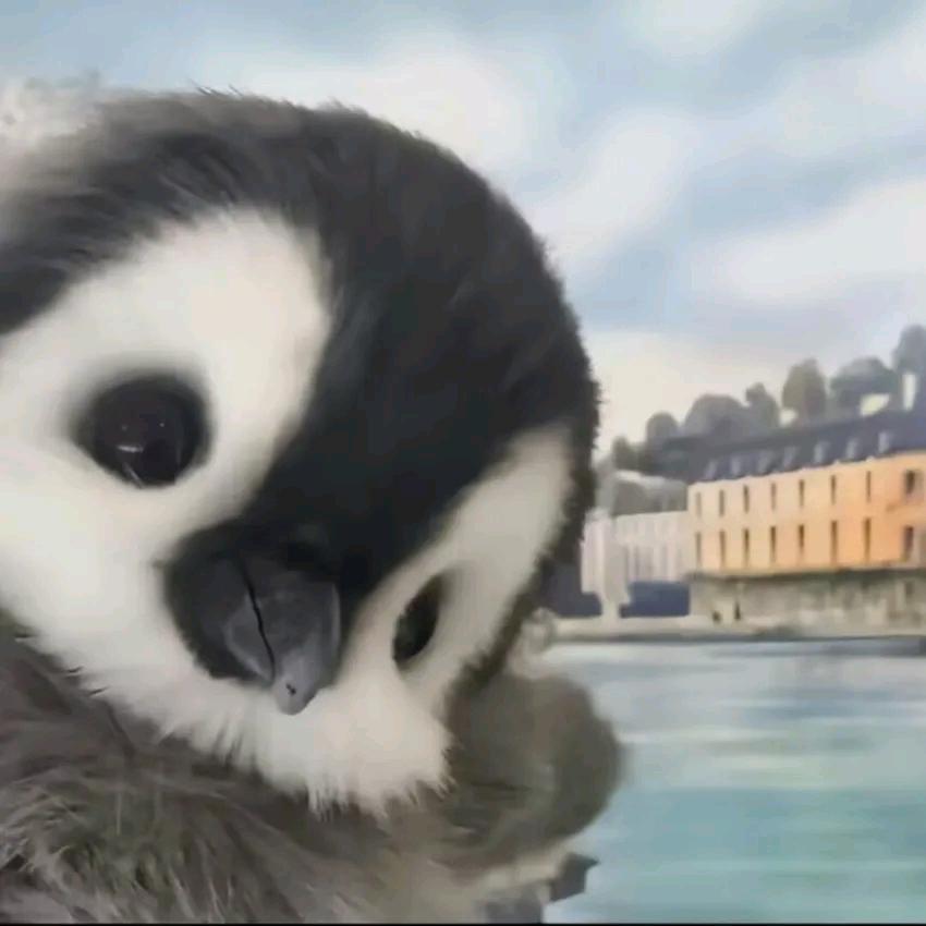 随缘.