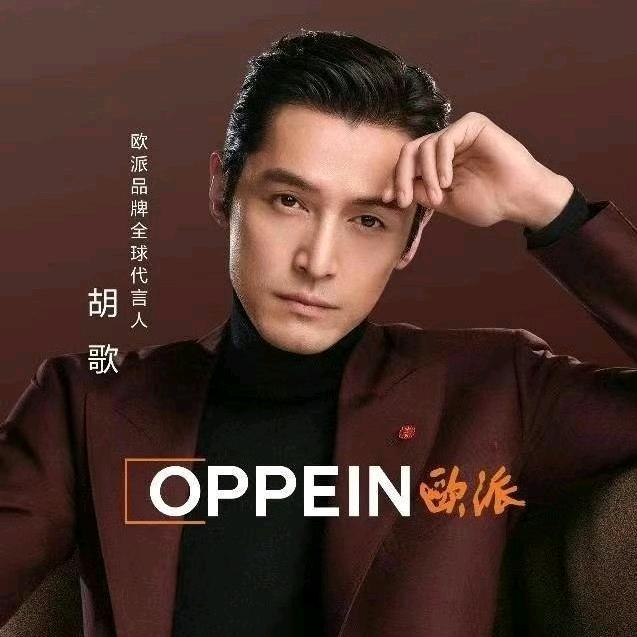 武胜欧派高端全屋定制