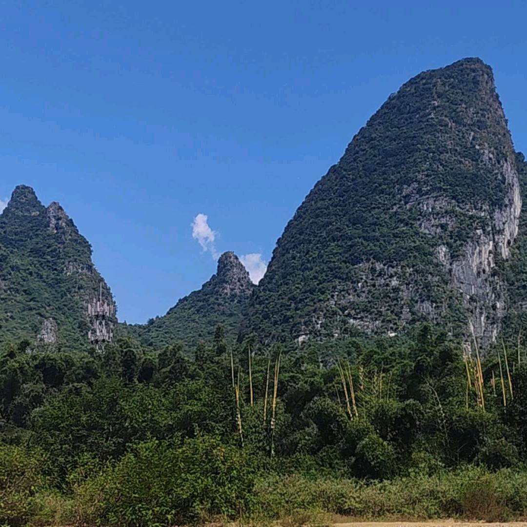 小不点