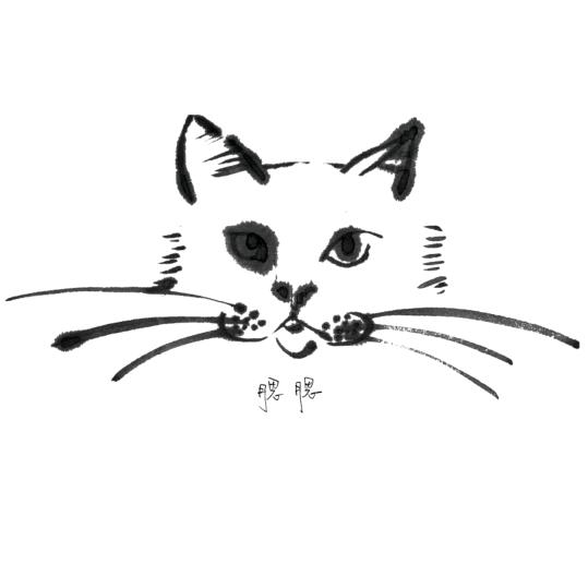 🌈朕要长头发了🌈