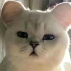 柒玖