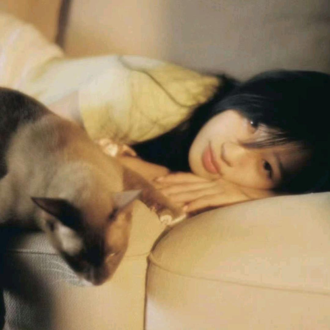 猫薄荷