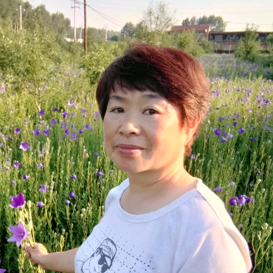 刘小云