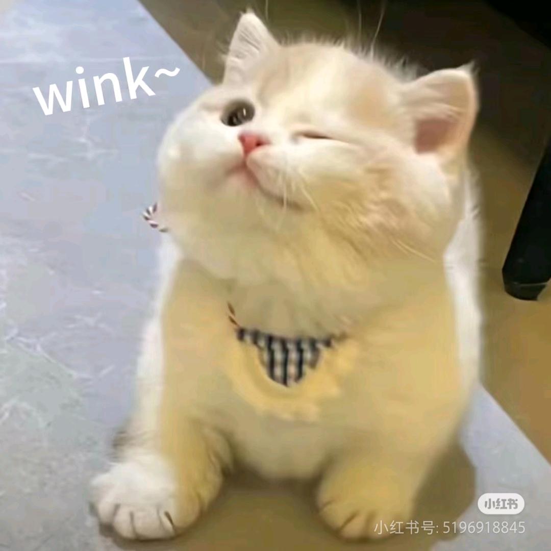 雾冬