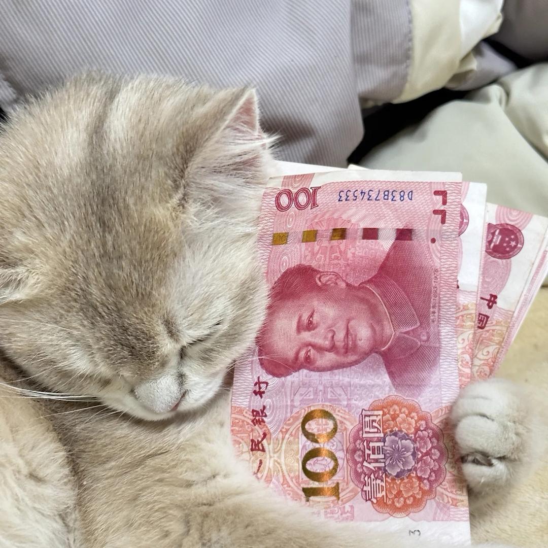 @我是一个小财迷