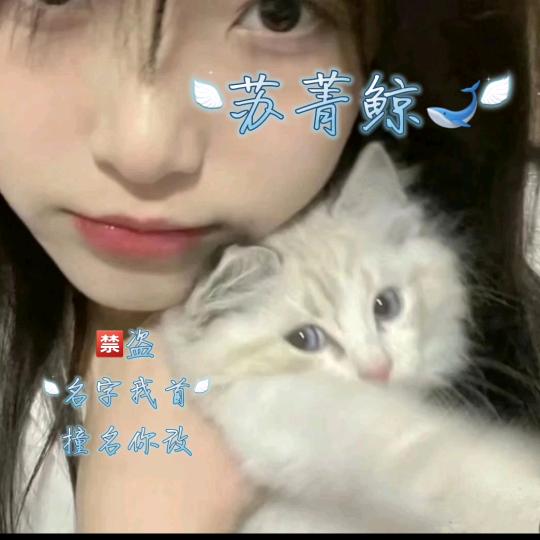 苏菁鲸.🐋（开学淡网）