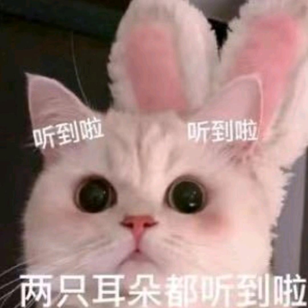 清融ovo