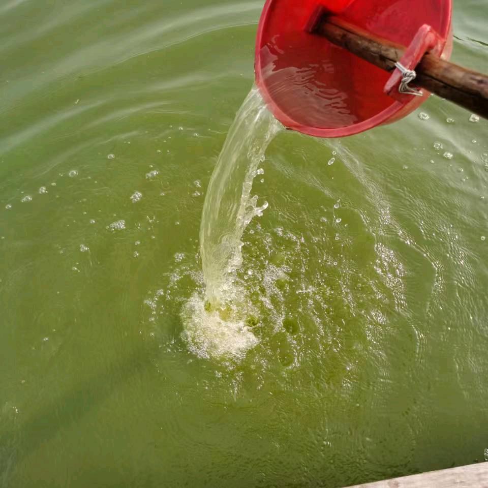 邦渔致富钓场服务