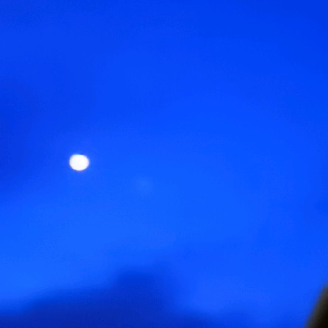 定格《吾道》