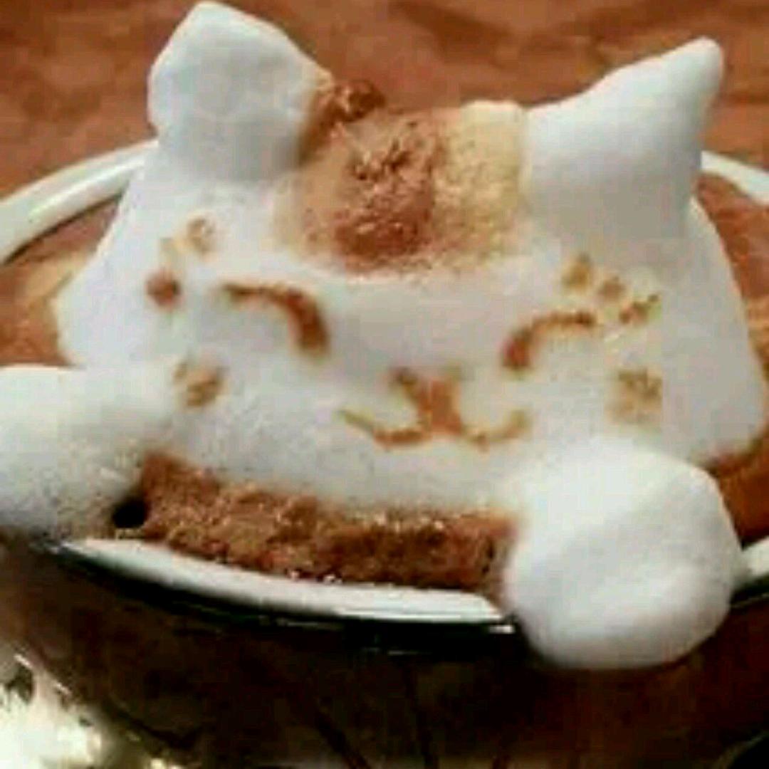 豆喵