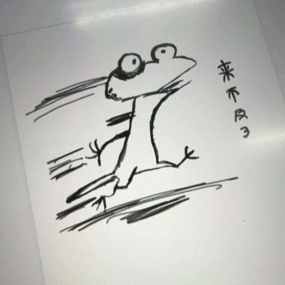 小迪老师在线