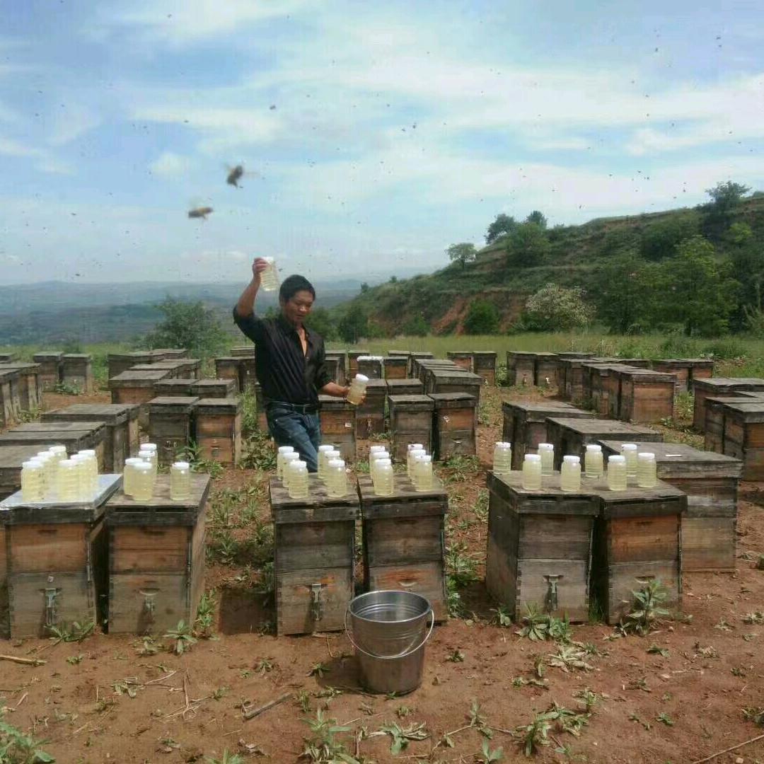 满天飞舞4115传媒收徒19点30分开播