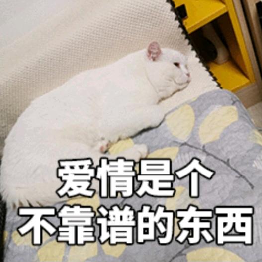 @ℳ意᥇໊ོ⁵²⁰