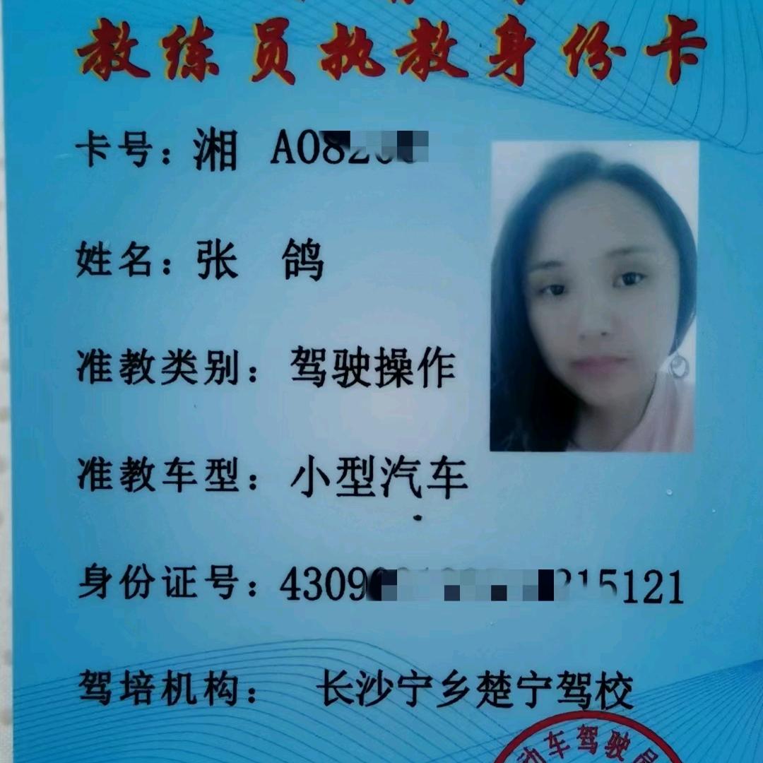 宁乡鸽子教练
