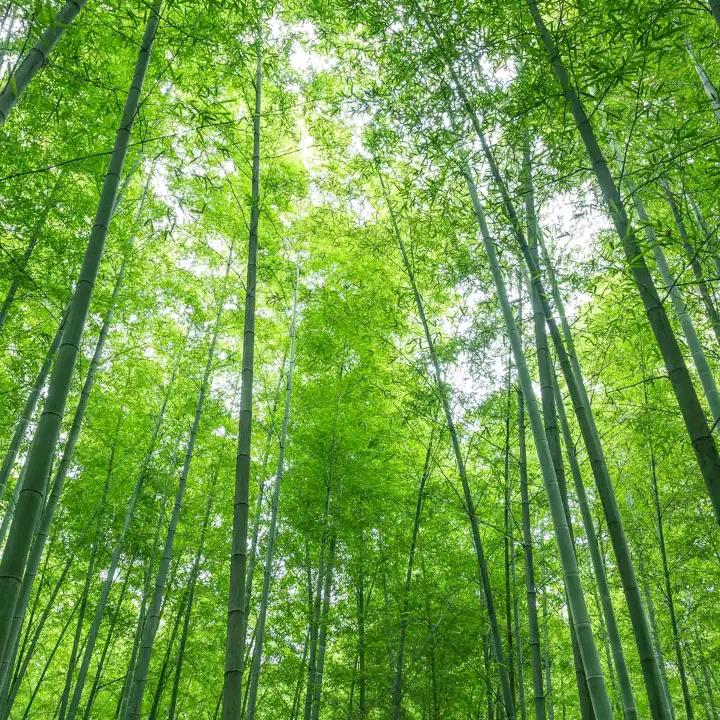 @漂洋过海@