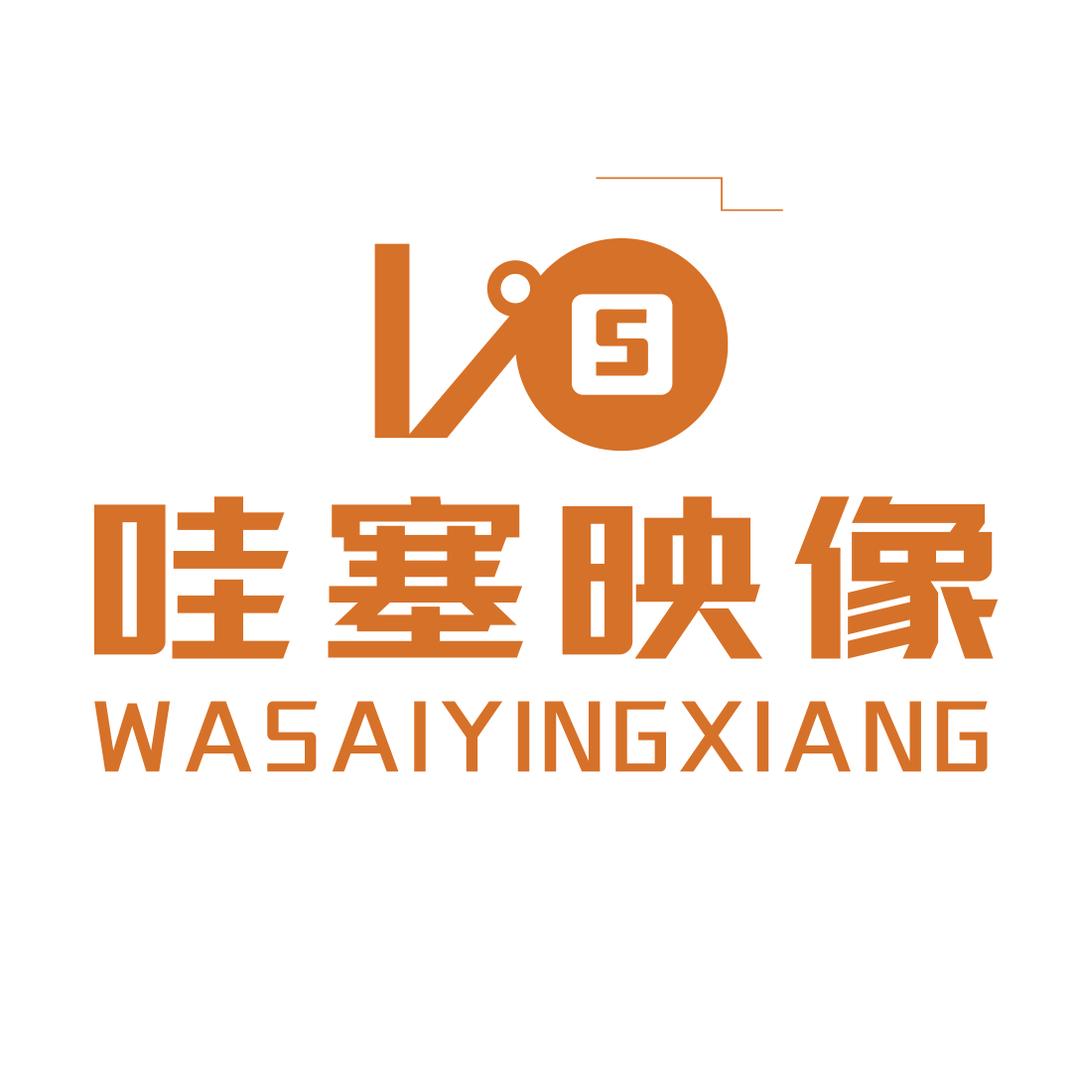 林导纪实
